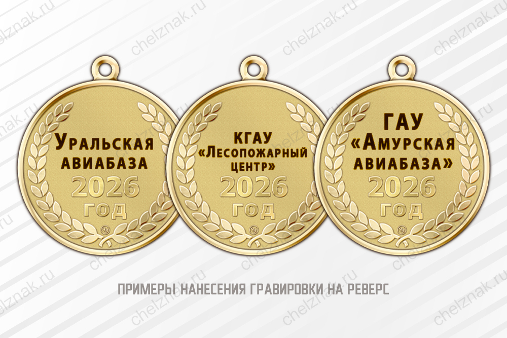 Памятный знак «95 лет АвиаЛесоОхране» с бланком удостоверения