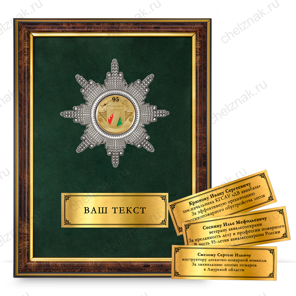 Наградное панно «95 лет АвиаЛесоОхране»