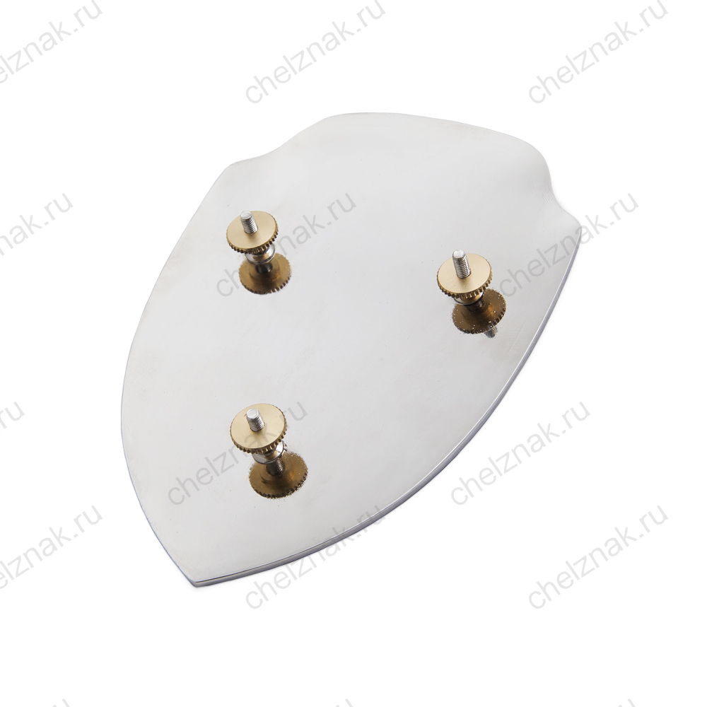 Знак «Подразделение транспортной безопасности (ПТБ)» (спецзаказ)