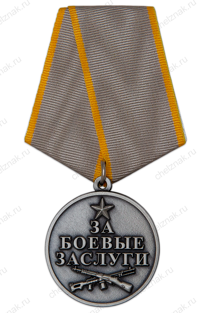 Медаль «Барс-20. За боевые заслуги» с бланком удостоверения