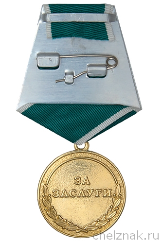 Медаль «100 лет профессору Шатилову Ф.И» с бланком удостоверения