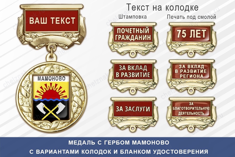 Медаль с гербом города Мамоново Калининградской области с бланком удостоверения
