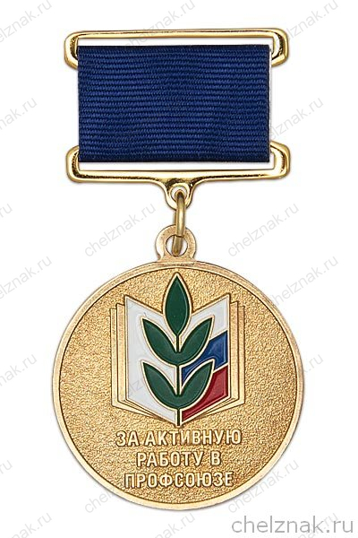 Медаль общероссийского профсоюза образования «За активную работу в профсоюзе» с бланком удостоверения