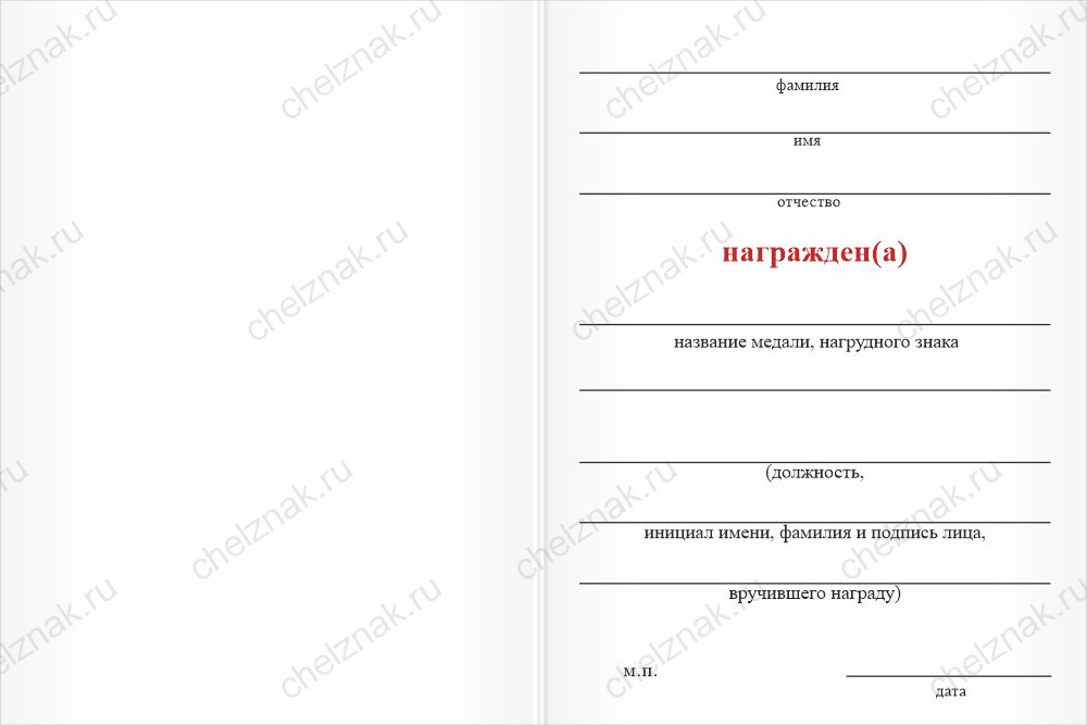 Медаль с гравировкой «205 лет со дня рождения Ф.М. Достоевского» с бланком удостоверения