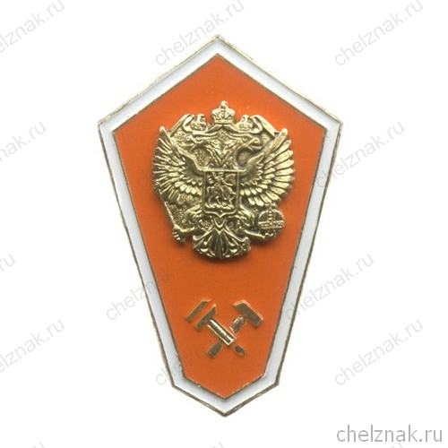 Знак «Об окончании ССУЗа» с накладным орлом