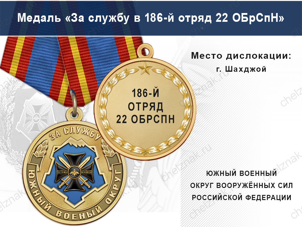 Лицевая сторона награды Медаль «За службу в 186-й отряд 22 ОБрСпН» с бланком удостоверения