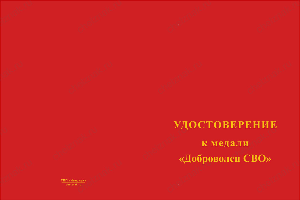 Медаль «Доброволец СВО из казачьего батальона имени атамана Захария Чепеги» с бланком удостоверения