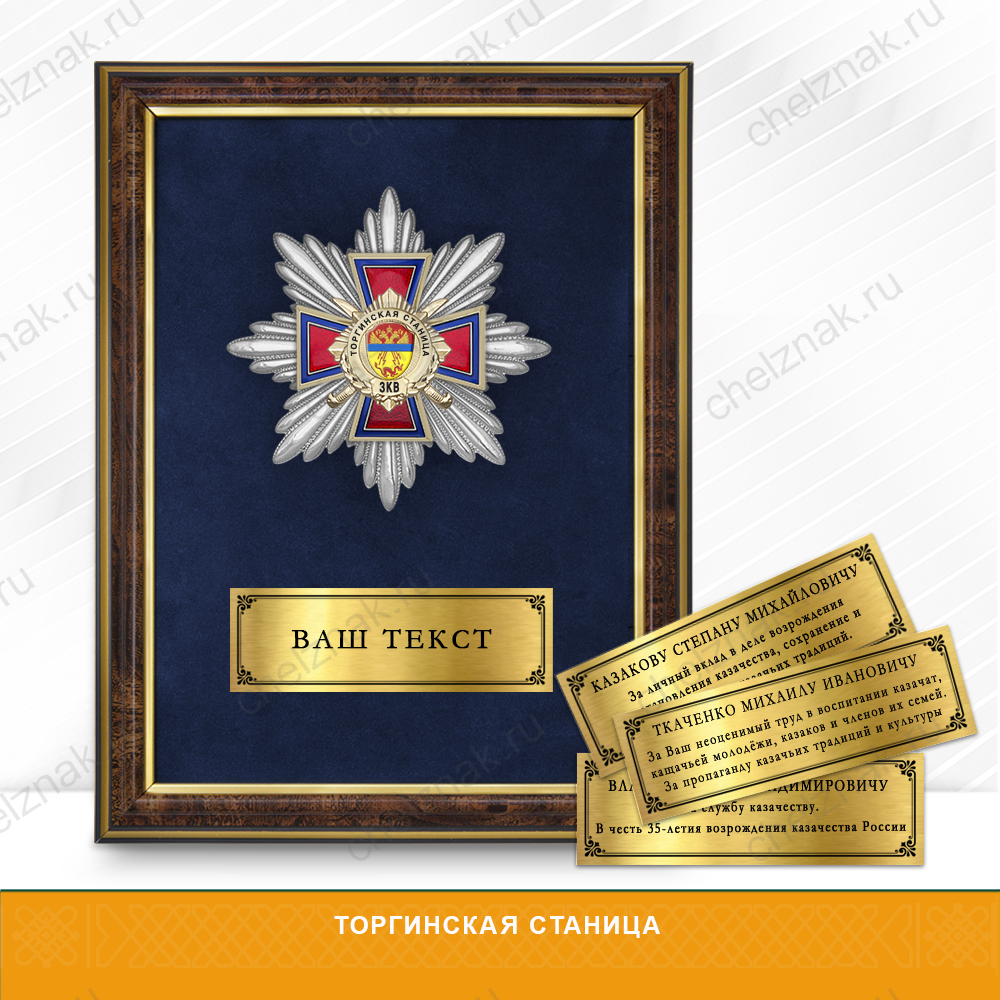 Награды Торгинской станицы ЗКВ