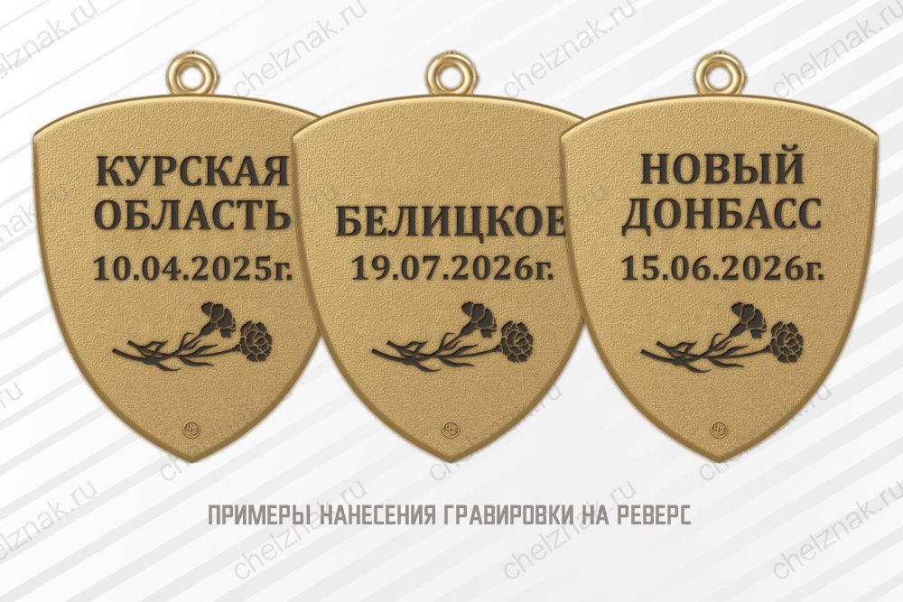 Наградной комплект к медальону «Родителям погибшего героя СВО»