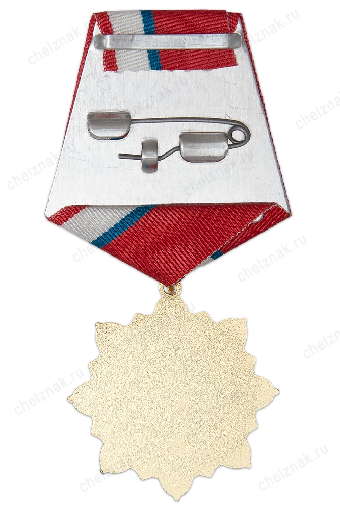 Орден на колодке «Союз проектировщиков России»