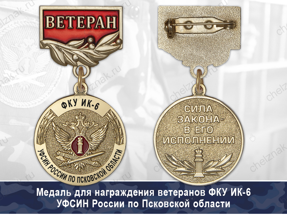 Обратная сторона награды Медаль ФКУ ИК-6 УФСИН России по Псковской области с бланком удостоверения