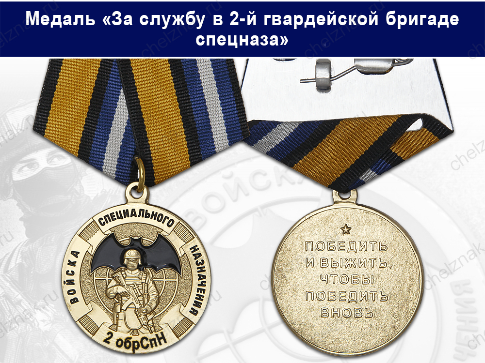 Медаль «За службу в 2-й гвардейской бригаде спецназа (2 обрСпН)» с бланком удостоверения