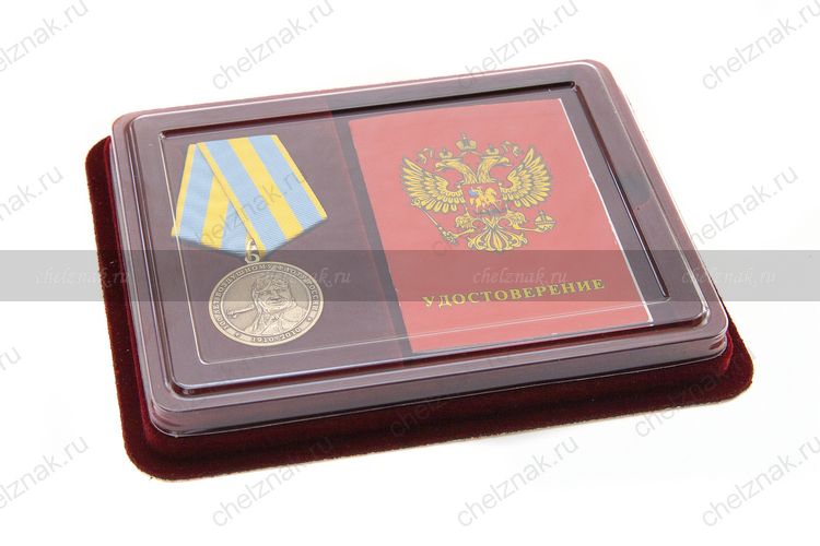 Наградной комплект к медали «100 лет воздушному флоту России»