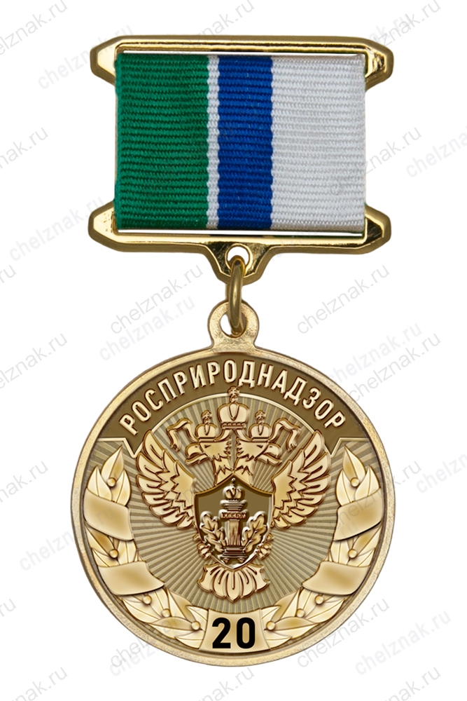 Медаль «20 лет Росприроднадзору» с бланком удостоверения