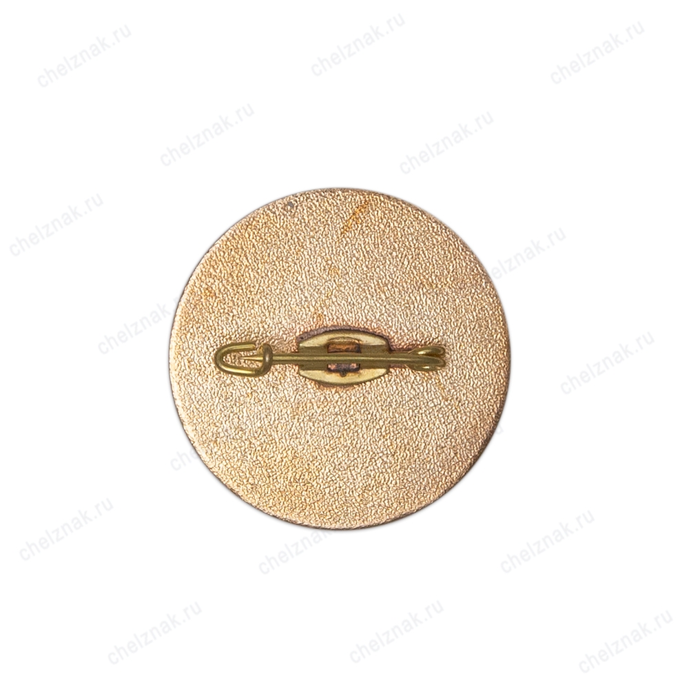 Знак «Выпускник школы - 2023. Южное Тушино»