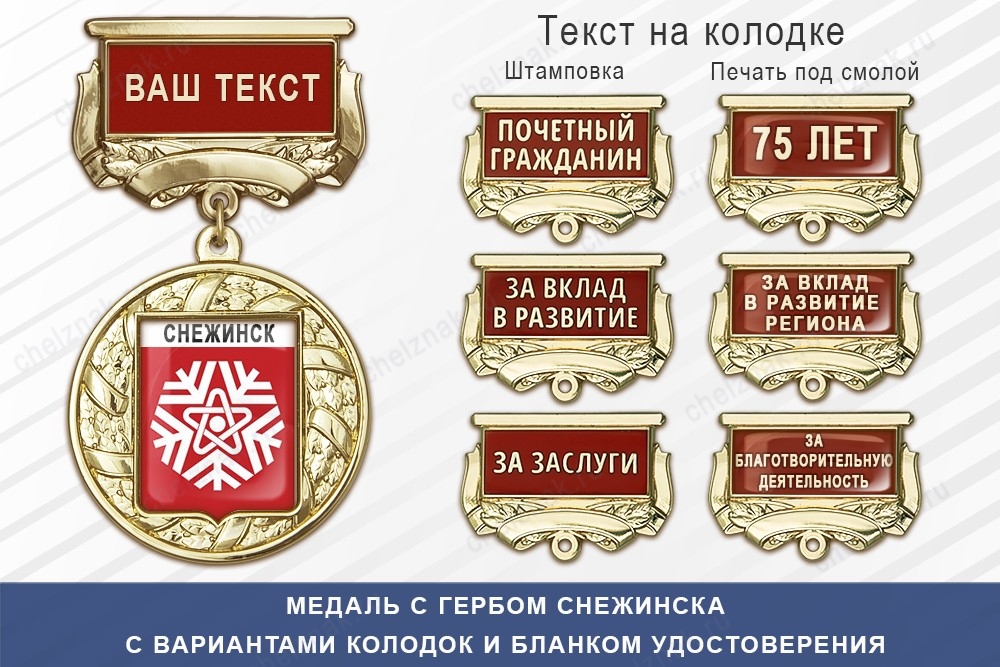 Медаль с гербом города Снежинска Челябинской области с бланком удостоверения