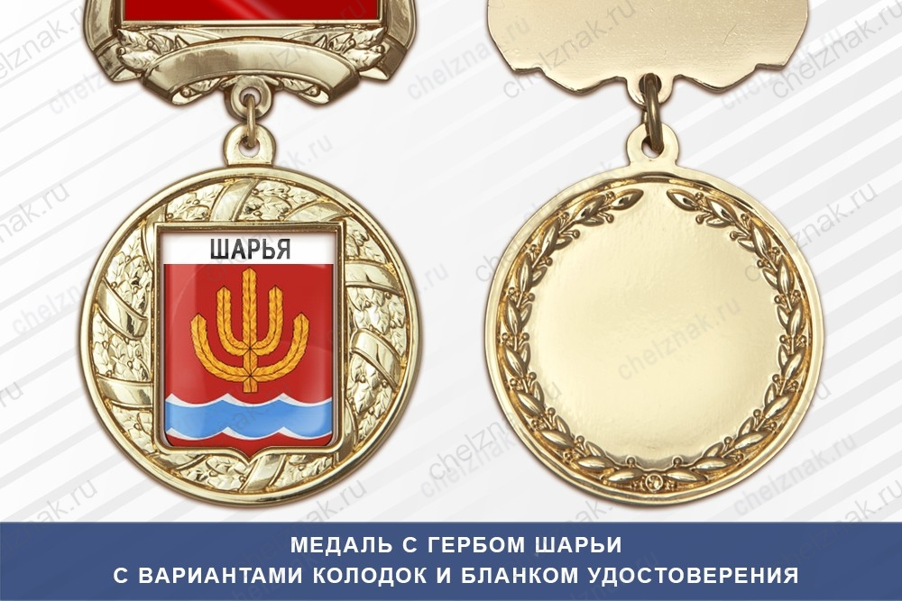 Медаль с гербом города Шарьи Костромской области с бланком удостоверения