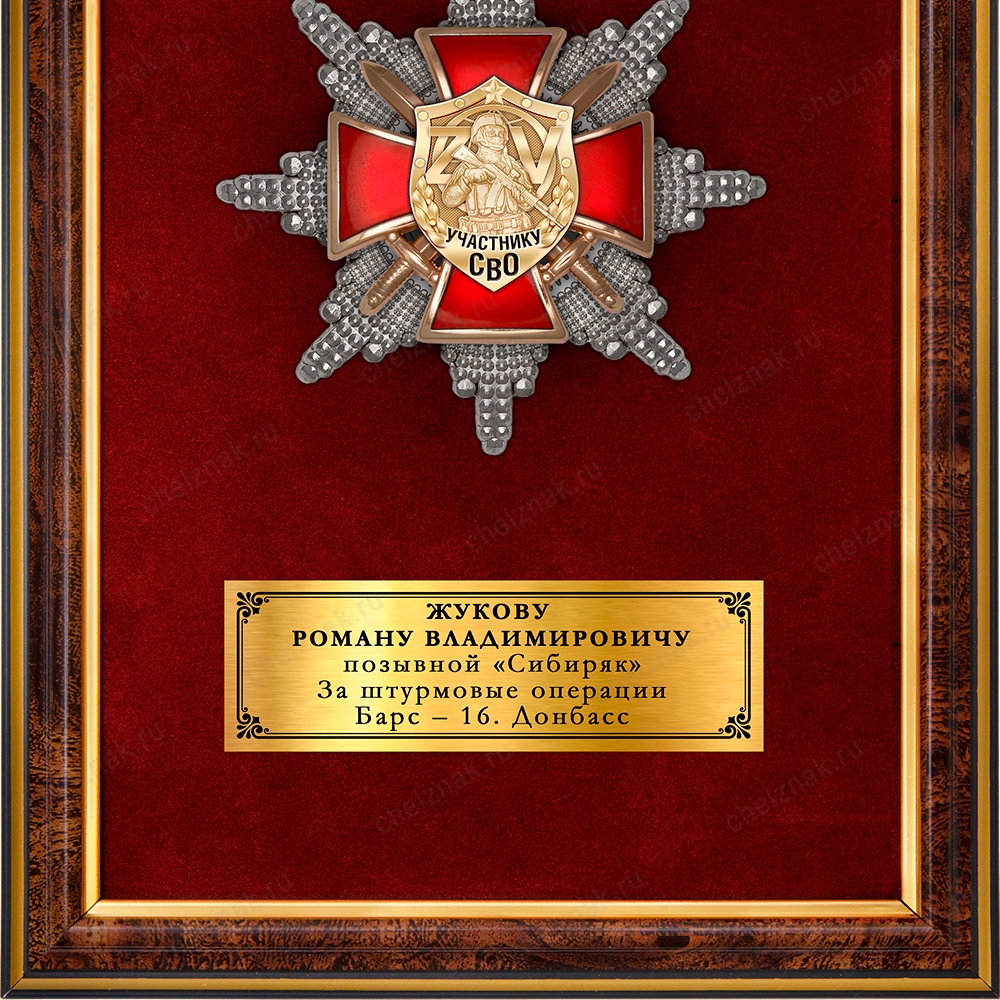 Панно наградное с орденским знаком «Участник СВО»