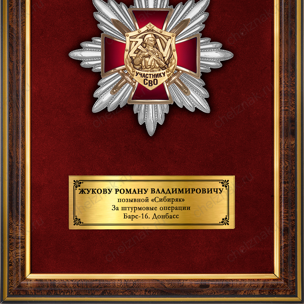 Панно наградное с орденским знаком «Участник СВО»