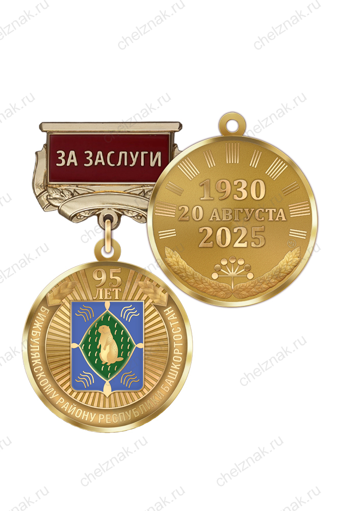 Медаль «95 лет Бижбулякскому району Республики Башкортостан. За заслуги» с бланком удостоверения