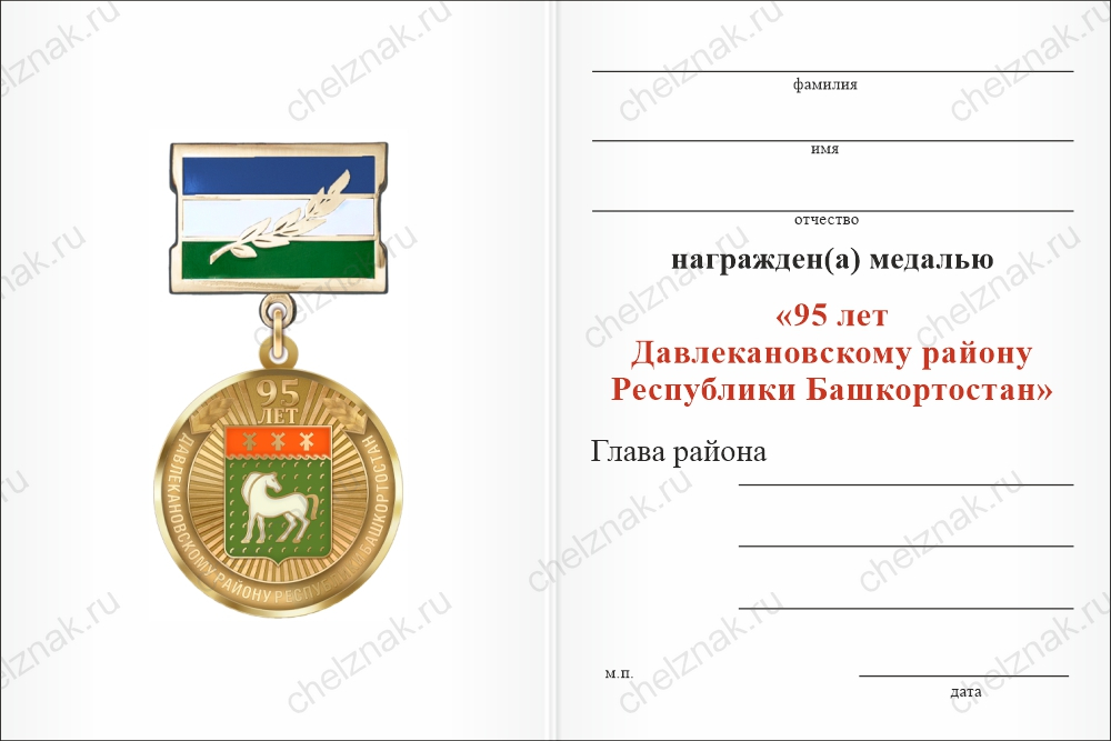 Медаль «95 лет Давлекановскому району Республики Башкортостан. За заслуги» с бланком удостоверения