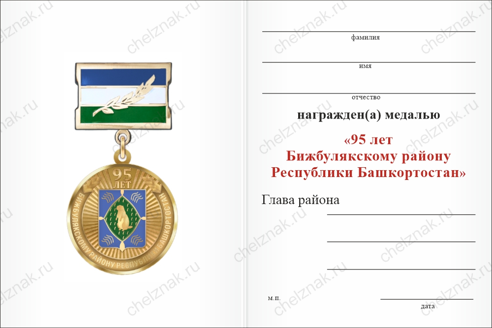 Медаль «95 лет Бижбулякскому району Республики Башкортостан. За вклад в развитие» с бланком удостоверения