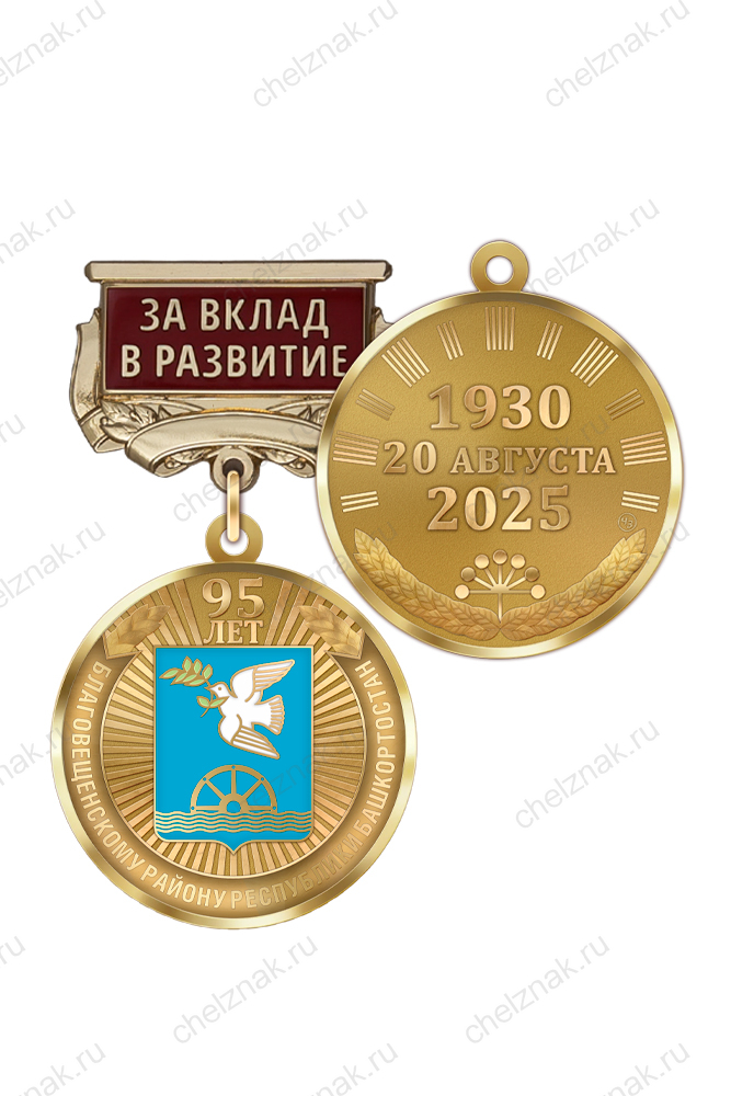 Медаль «95 лет Благовещенскому району Республики Башкортостан. За вклад в развитие» с бланком удостоверения