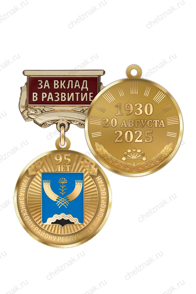 Медаль «95 лет Туймазинскому району Республики Башкортостан. За вклад в развитие» с бланком удостоверения