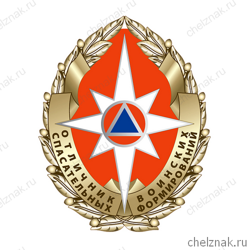 Нагрудный знак «Отличник спасательных воинских формирований» МЧС РФ