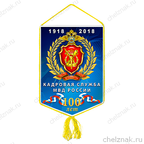 Вымпел «100 лет кадровой службе МВД»