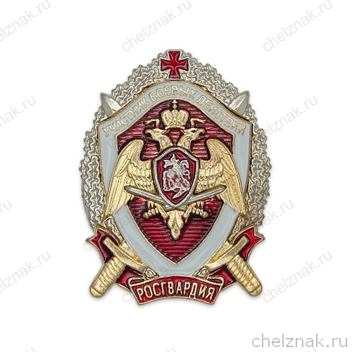 Нагрудный знак Росгвардии «Участник боевых действий» с бланком удостоверения