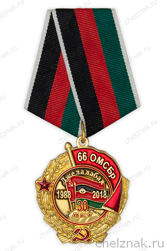 Знак на пятиугольной колодке «30 лет вывода из Афганистана 66 ОМСБр» с бланком удостоверения