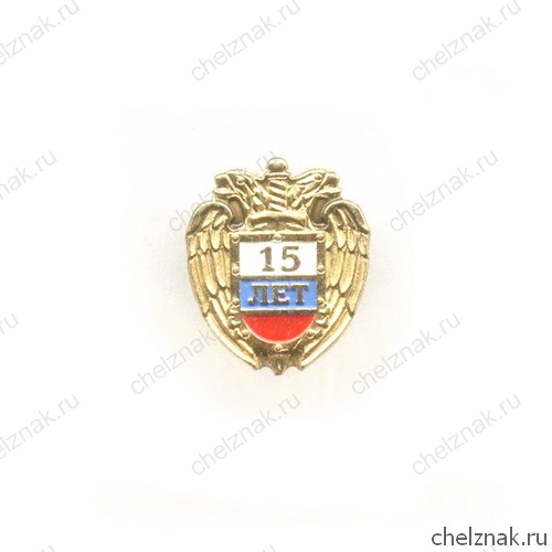 Знак «15 лет ФСО России»