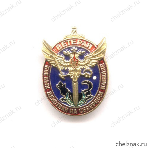 Знак «Ветеран боевых действий на Северном Кавказе»