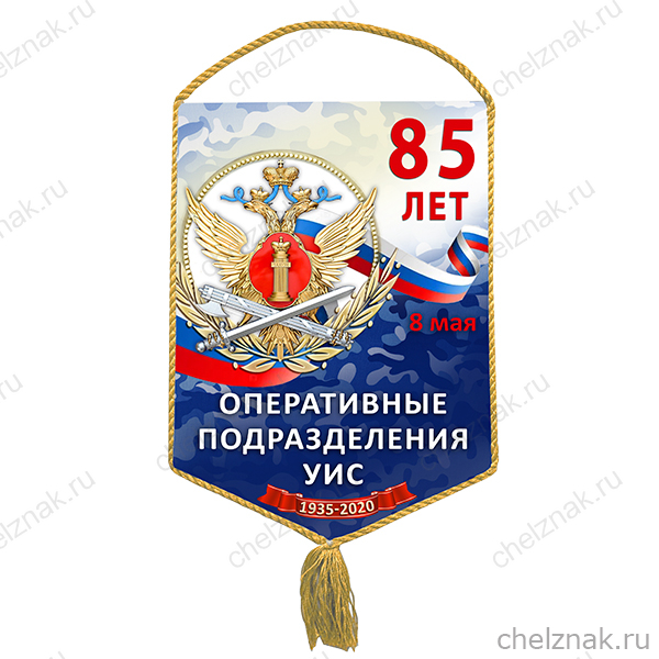 Вымпел «85 лет оперативным подразделениям УИС»