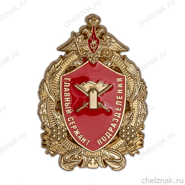 Знак «Главный сержант подразделения»