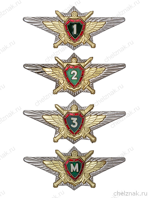 Знак классности ПУ ФСБ
