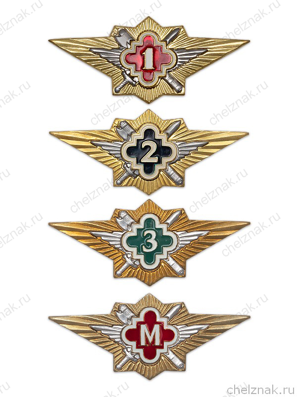 Знак классности ФСИН