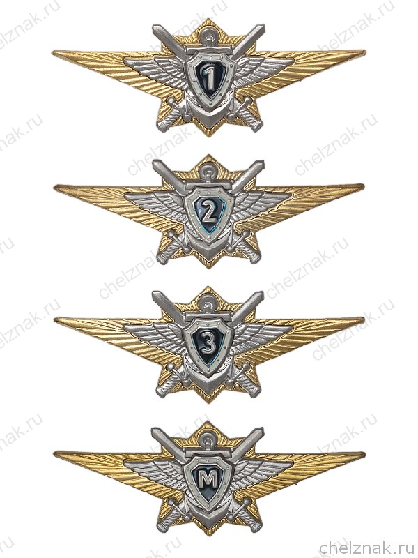 Знак классности ВС РФ, офицерский состав, нового образца