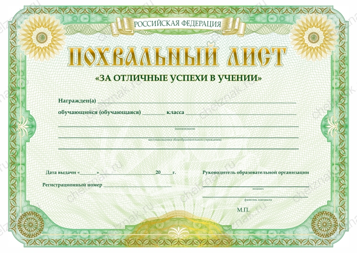 Бланк похвального листа «За отличные успехи в учении»