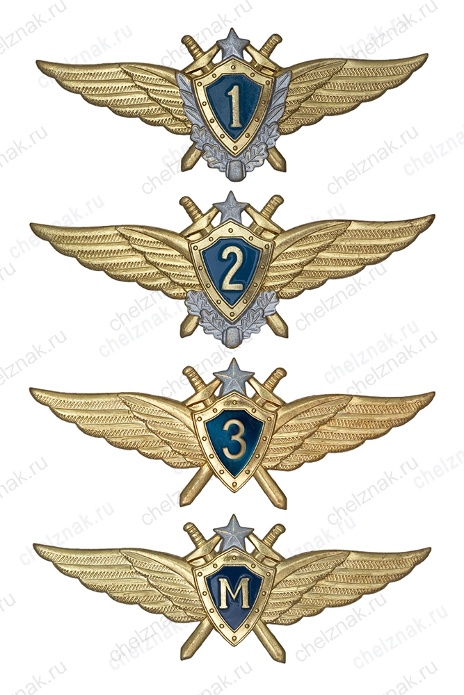Знак классности ВВС нового образца