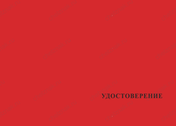 Типовой бланк удостоверения