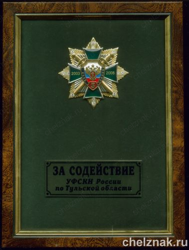Панно «За содействие» 5 лет ФСКН»