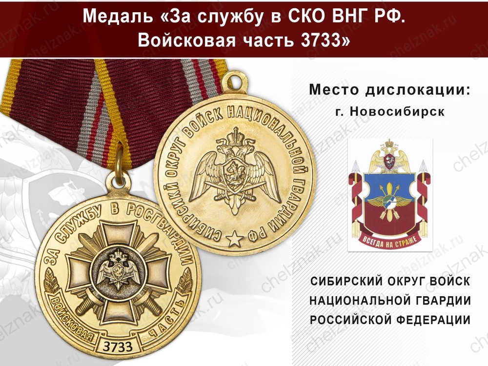 Медаль «За службу в СИБО ВНГ РФ. Войсковая часть 3733» с бланком удостоверения