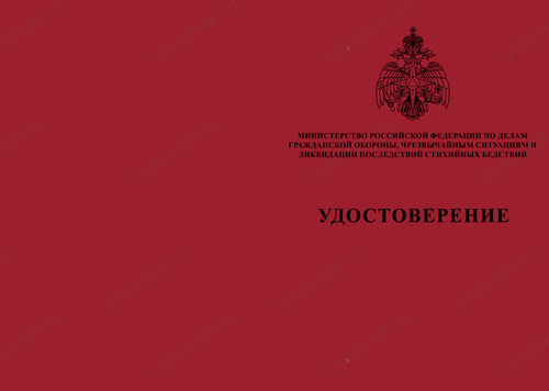 Типовой бланк удостоверения МЧС