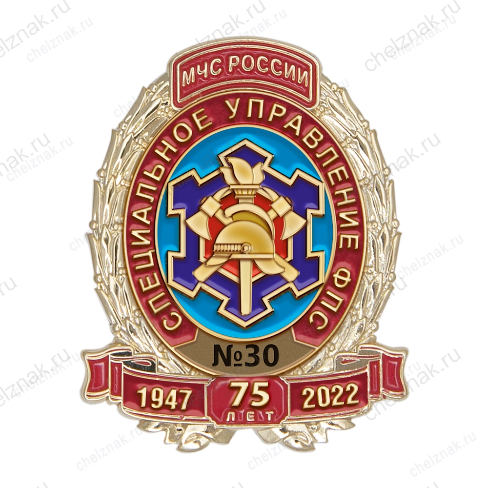 Знак «75 лет специальным подразделениям ФПС»