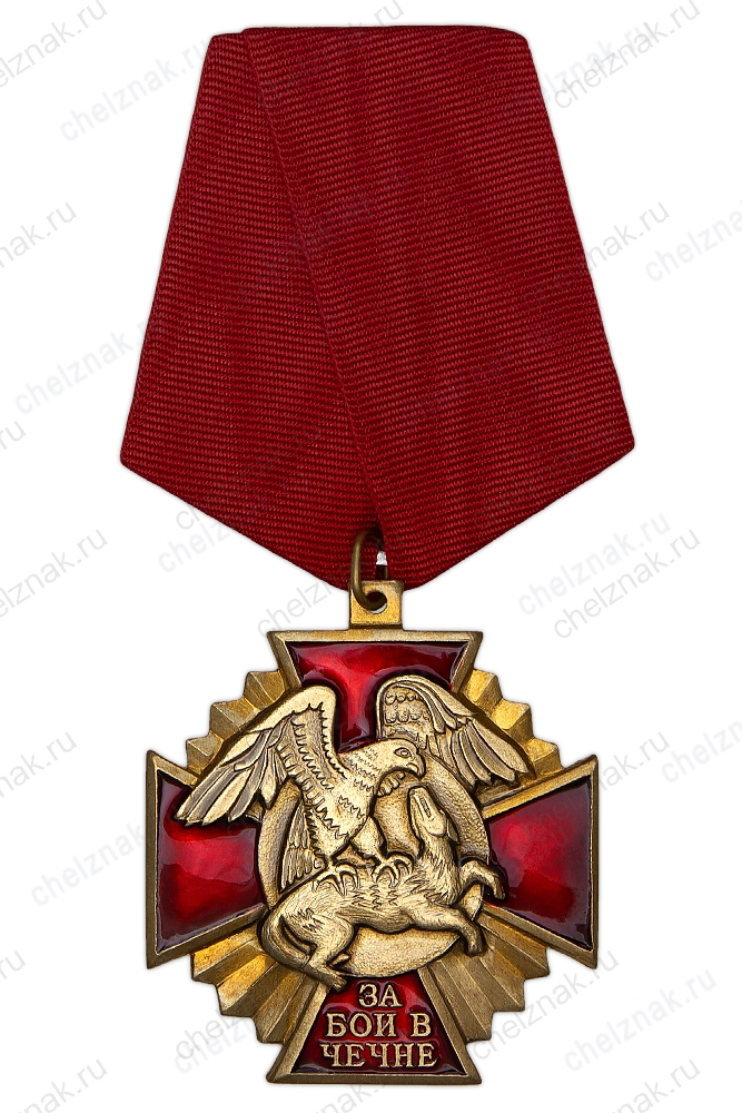 Знак «За бои в Чечне» с бланком удостоверения