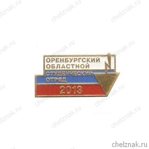 Знак «Оренбургский областной СО – 2013»