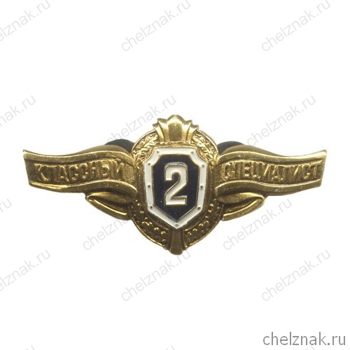 Нагрудный знак МО России «Классный специалист» II класса
