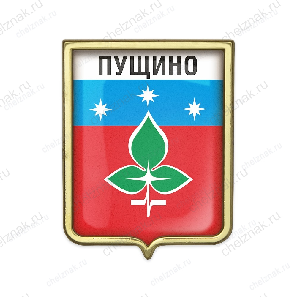 Значок «Герб городского округа Пущино»